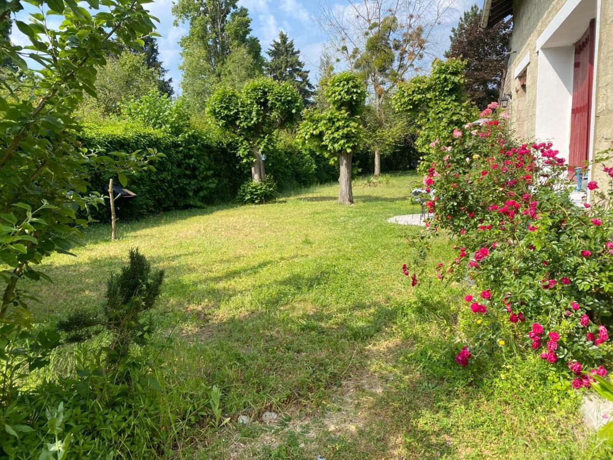 Studio Epicea Avec Jardin Dans Charmante Propriete Méry-sur-Oise Eksteriør billede